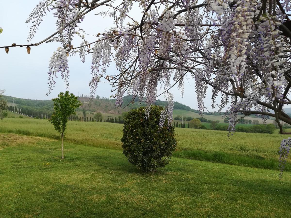 La Locanda Dell'Olmo Orvieto Buitenkant foto