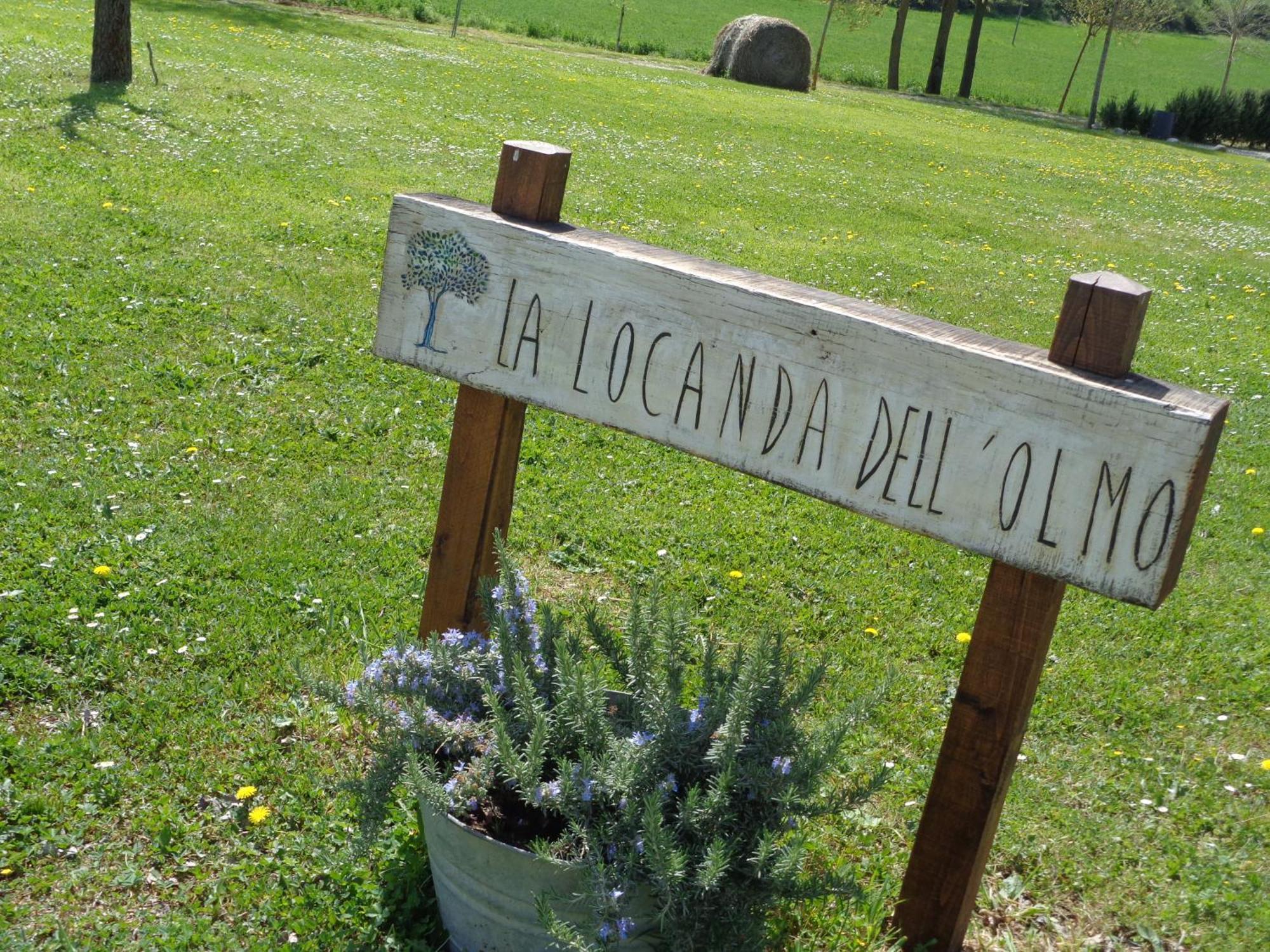 La Locanda Dell'Olmo Orvieto Buitenkant foto