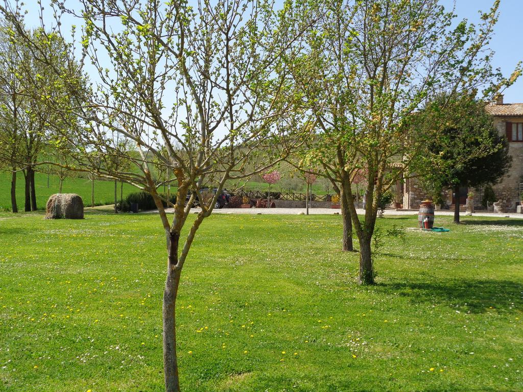 La Locanda Dell'Olmo Orvieto Buitenkant foto